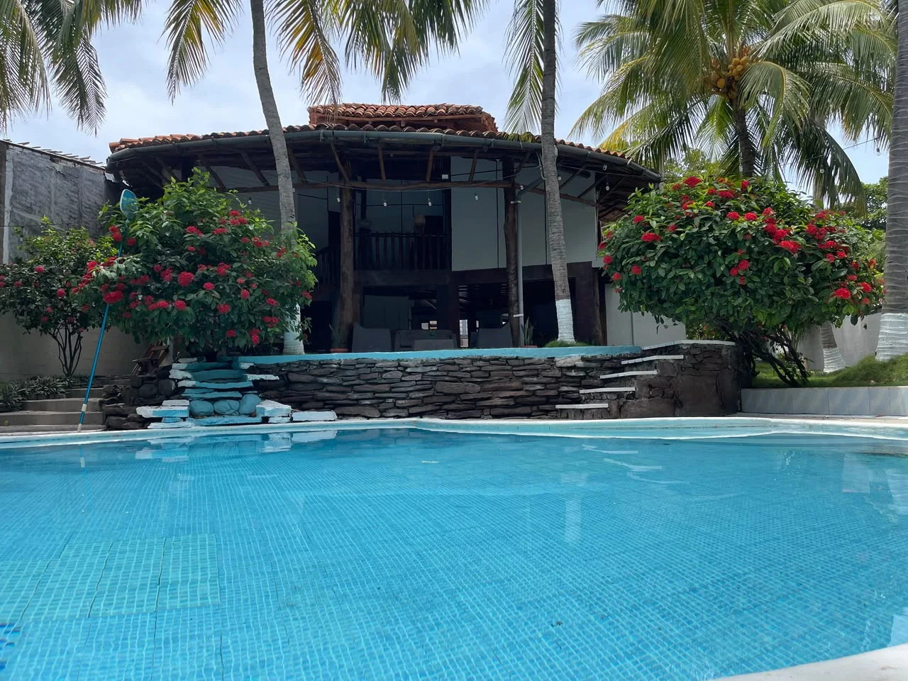 Piscina del hotel rodeada de palmeras y flores