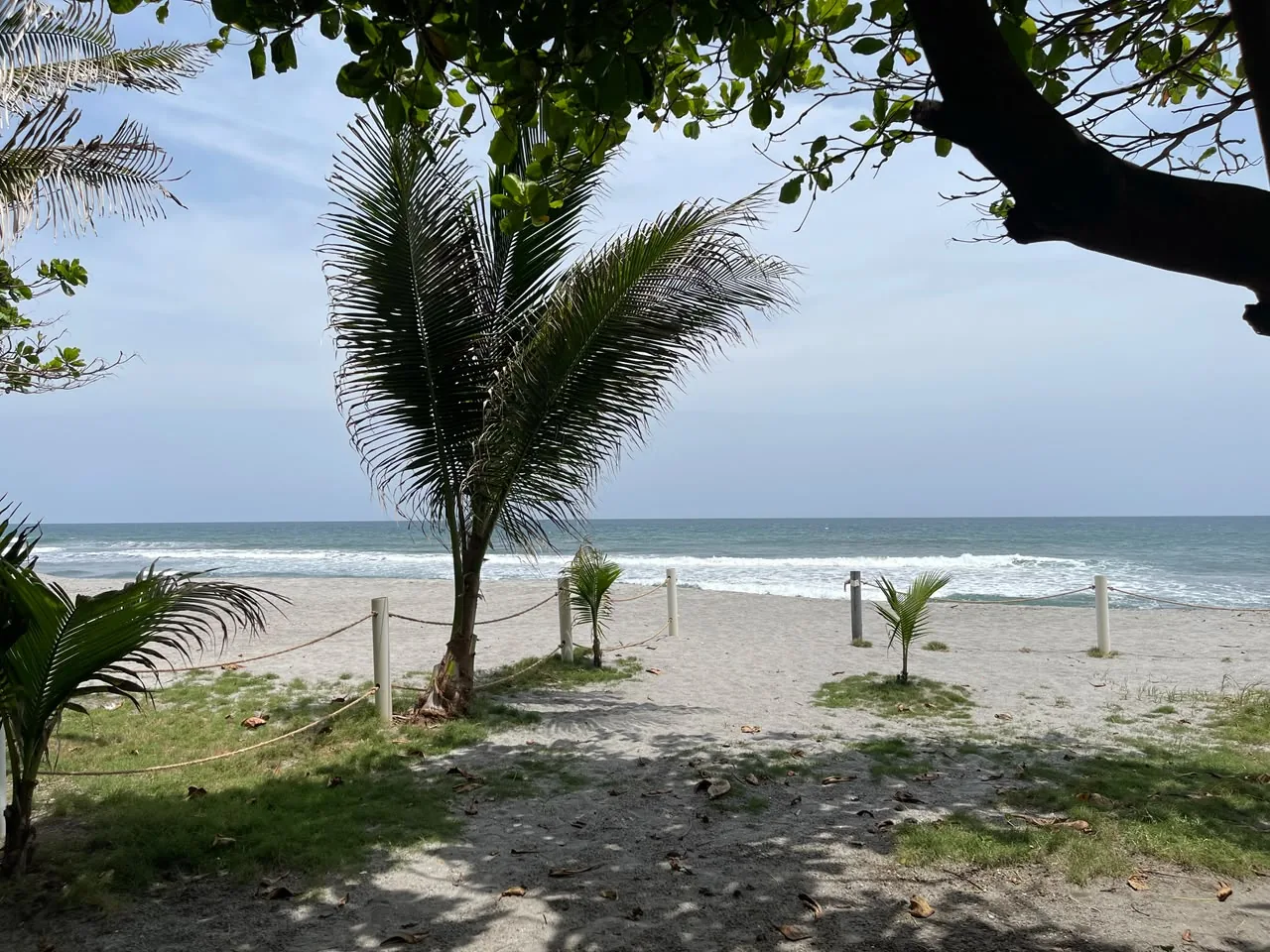 Salida directa a la playa El Amatal entre palmeras, frente al Pacífico